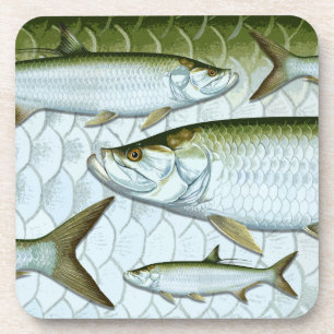 Atlantische Tarpon-Untersetzer Untersetzer