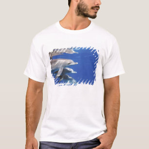 Atlantische Tüpfeldelfine. Bimini, Bahamas T-Shirt