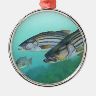 Atlantischer Bassfisch Morone Saxatilis Silbernes Ornament