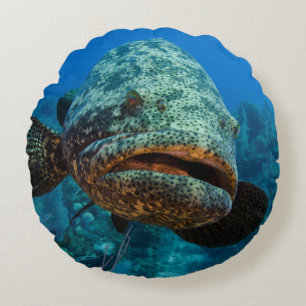 Atlantischer Goliath-Barsch Rundes Kissen