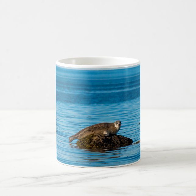 Atlantischer Hafenrobbe Kaffeetasse (Mittel)
