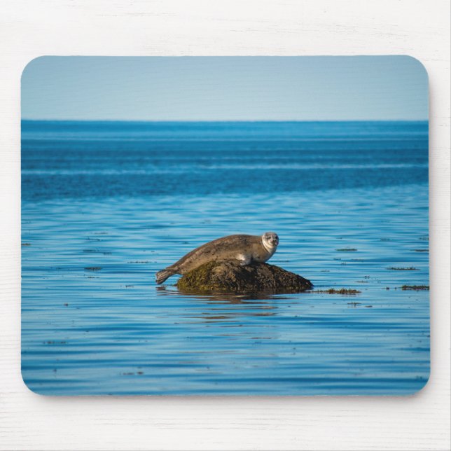 Atlantischer Hafenrobbe Mousepad (Vorne)