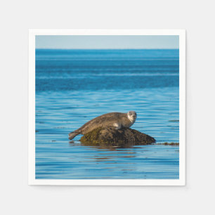 Atlantischer Hafenrobbe Serviette