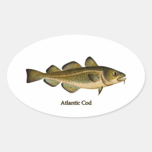 Atlantischer Kabeljau-Logo Ovaler Aufkleber