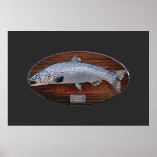 Atlantischer Lachs Trophy Display Plaque Poster