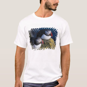 Atlantischer Papageientaucher (Fratercula arctica) T-Shirt