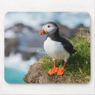 Atlantischer PapageientaucherFratercula Arctica Mousepad