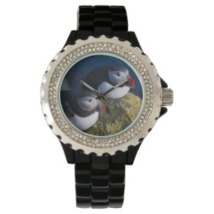 Atlantischer Papageitaucher (Fratercula arctica) 7 Armbanduhr