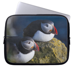 Atlantischer Papageitaucher (Fratercula arctica) 7 Laptopschutzhülle