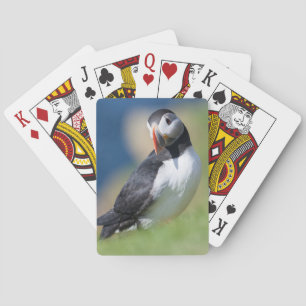 Atlantischer Papageitaucher (Fratercula Arctica) a Spielkarten