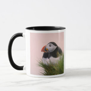 Atlantischer Papageitaucher (Fratercula arctica) Tasse