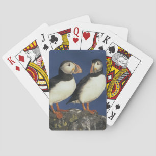 Atlantischer Papageitaucher Spielkarten