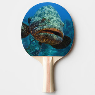 Atlantischer Riesen-Zackenbarsch Tischtennis Schläger
