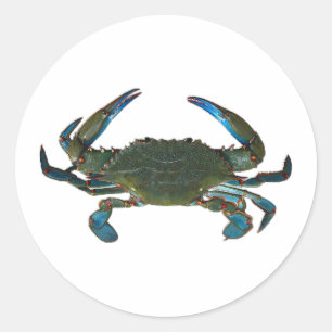 Atlantisches blaue Krabben-Logo Runder Aufkleber