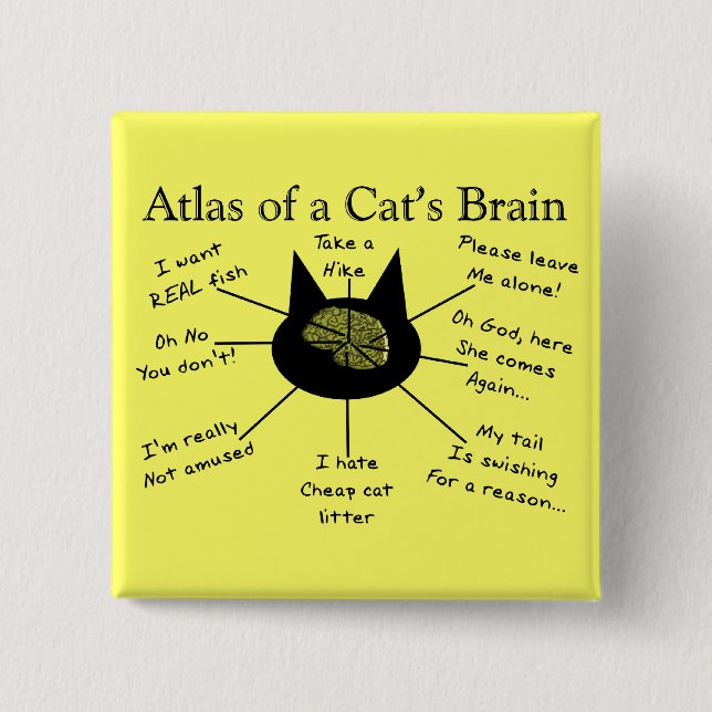 Atlas des Gehirns einer Katze Button (Vorderseite)