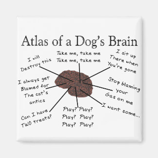 Atlas des Gehirns eines Hundes Magnet