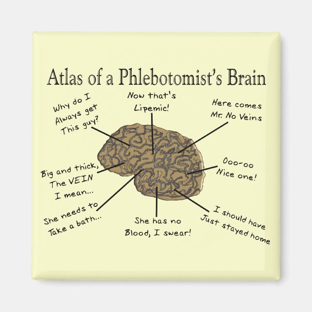 Atlas des Hirns eines Phlebotomisten Magnet (Vorne)