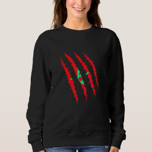 Atlas Lion Scratch für Männer und Frauen Sweatshirt