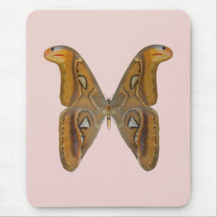 Atlas Moth Mousepad