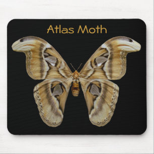 Atlas Moth Mousepad