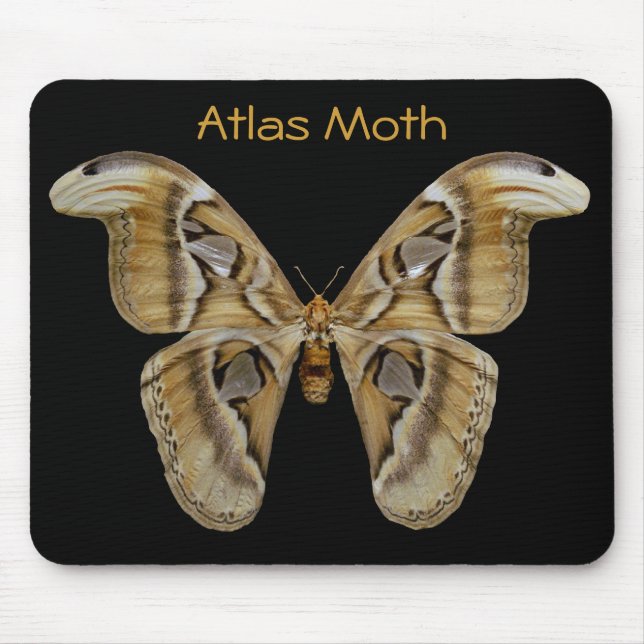 Atlas Moth Mousepad (Vorne)