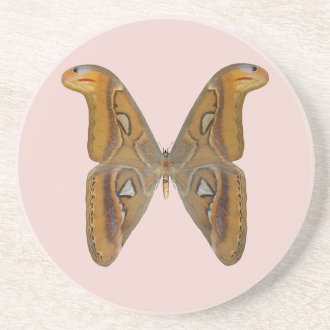 Atlas Moth Sandstein Untersetzer (Vorne)
