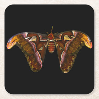 Atlas Moth - Snake Head Rechteckiger Pappuntersetzer