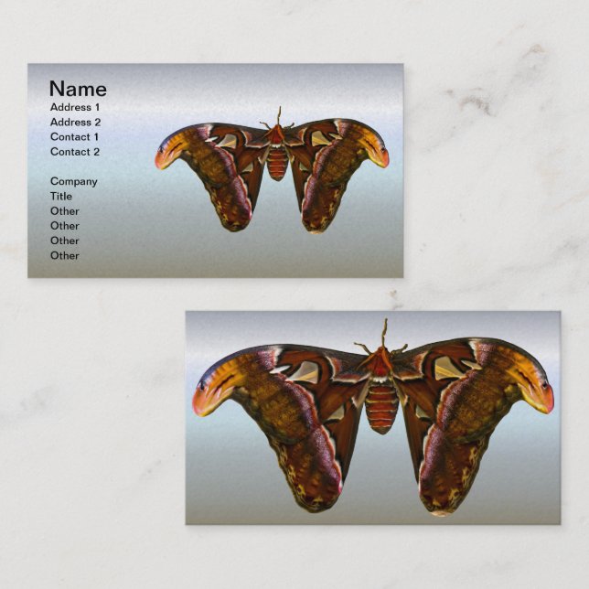 Atlas Moth - Snake Head Visitenkarte (Vorne/Hinten)