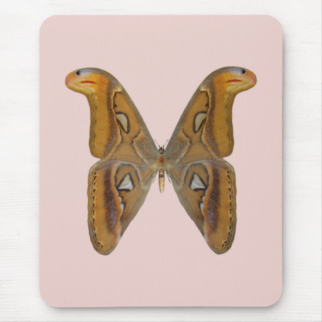 Atlas-Motte Mousepad (Vorne)