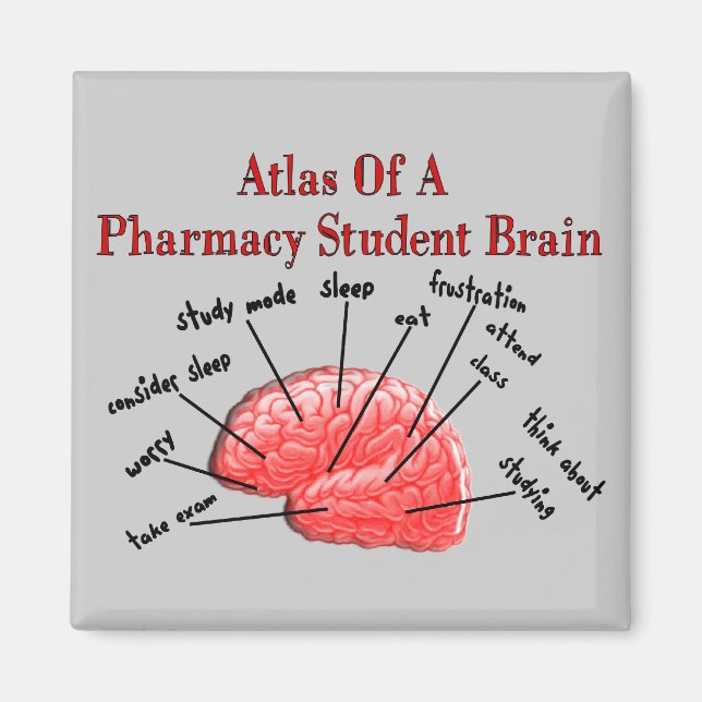 Atlas of a Pharmacy Student Brain Magnet (Vorne)