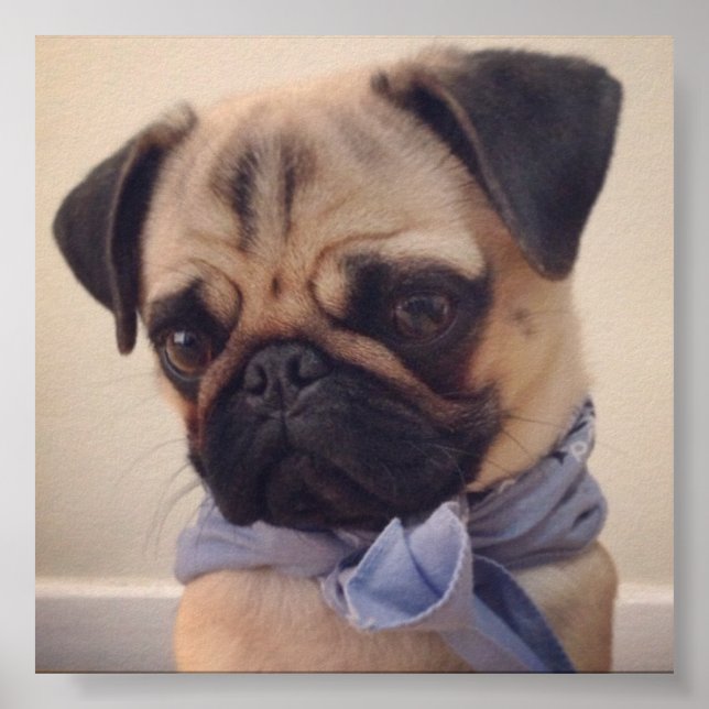 Atlas Poster (Vorne)