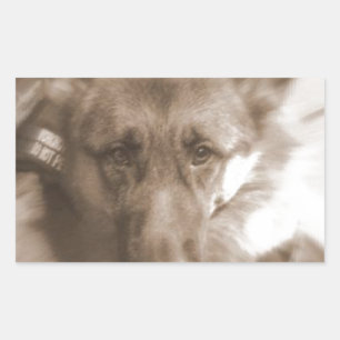 Atlas the Wonderdog Rechteckiger Aufkleber