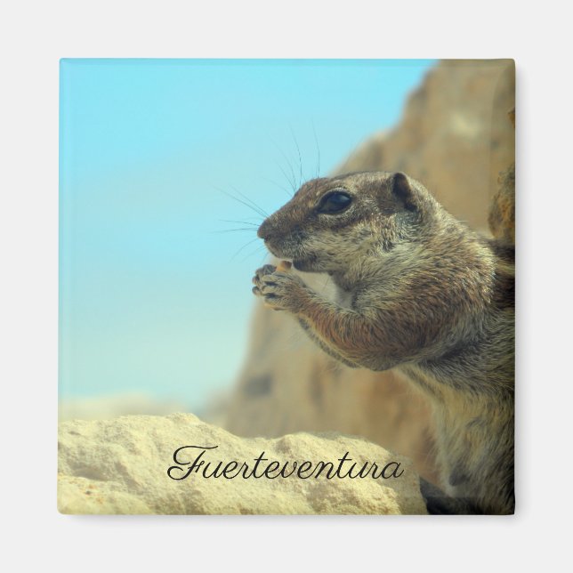 Atlashörnchen Magnet (Vorne)