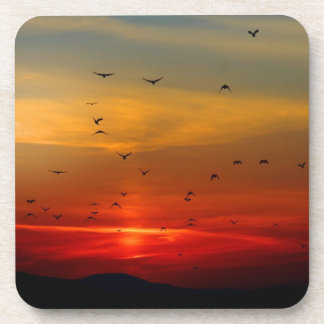 Atmosphärischer Himmel, Sonnenuntergang, Vögel, sc Getränkeuntersetzer