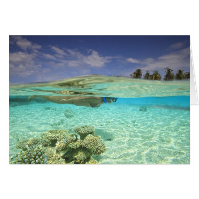 Atoll de Huvadhoo Sud, Maldives Sud, Indien (Devant horizontal)