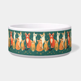 Atomzeitalter Vintag MCM Mitte Jahrhundert Moderne Napf