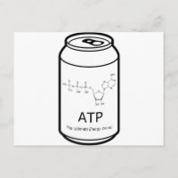 ATP Energy Drink