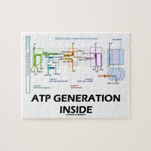 Atp-Generation innerhalb der