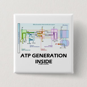 Atp-Generations-Innere (Elektron-Transport-Kette) Button