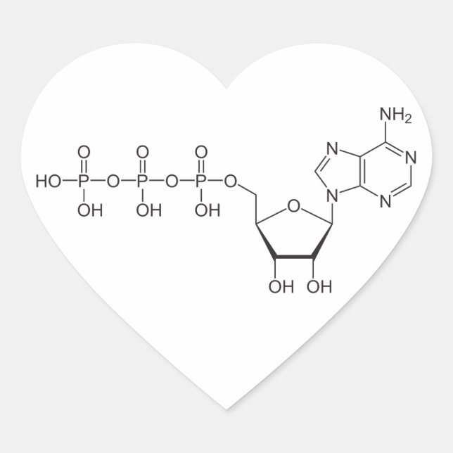 ATP Molekül Herz-Aufkleber (Vorderseite)