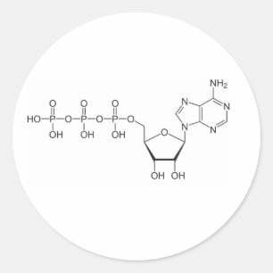 Atp-Molekül Runder Aufkleber