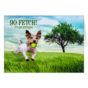 Atteindre Jack Russel Terrier Blank Toutes les occ