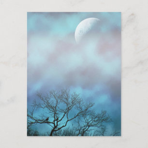 Attendre la carte postale du matin