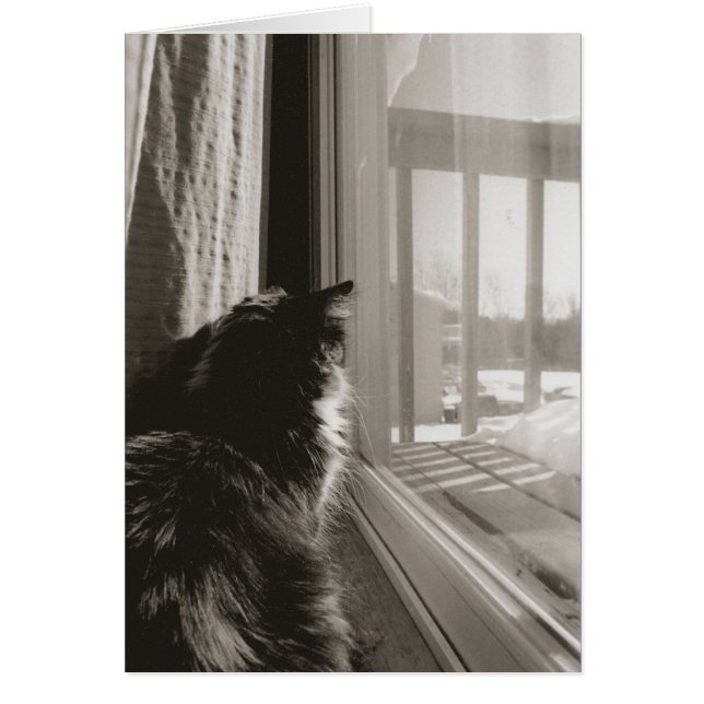 Attente dans le soleil (Devant)