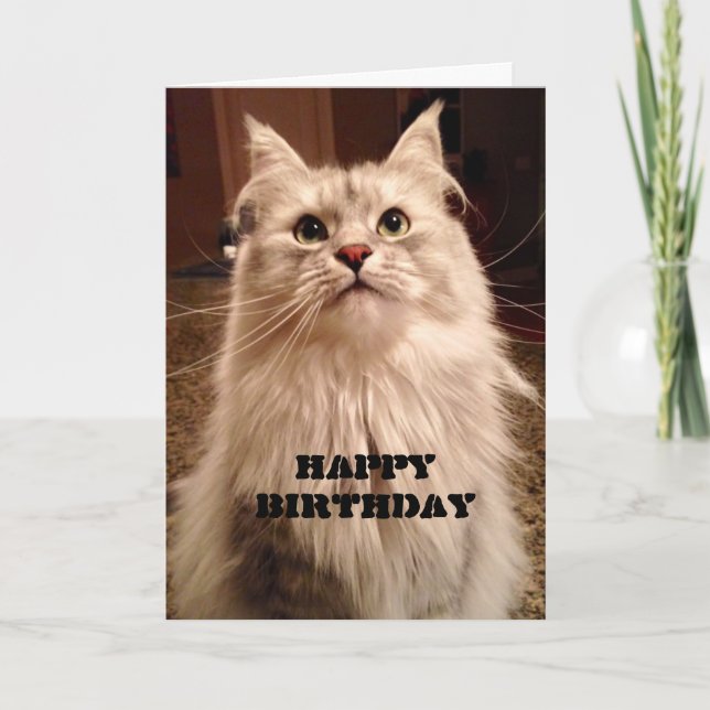 Attente patiente pour la carte d'anniversaire de g (Devant)