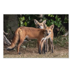 Attention À Mon Frère Photo Print