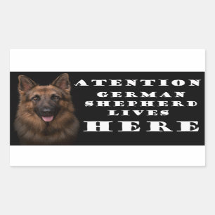 Attention berger allemand vit ici autocollant