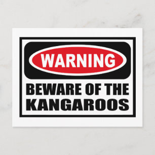 ATTENTION DE LA Carte Postale KANGAROOS