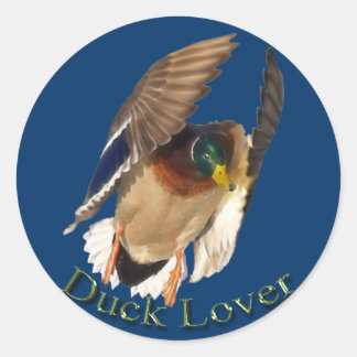 Atterrissage de Mallard Duck Drake Oiseau Sticker