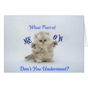 Attitude de Meow de chatons